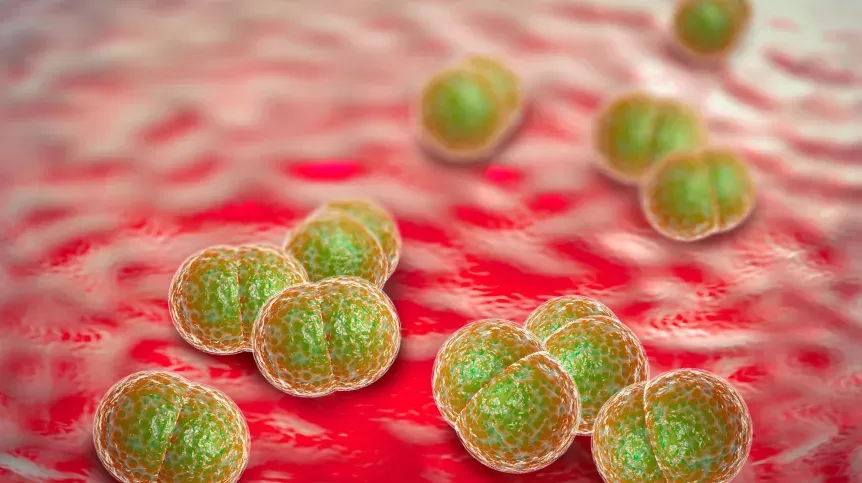Epidemiolog: meningokoki mogą zabić w kilkanaście godzin