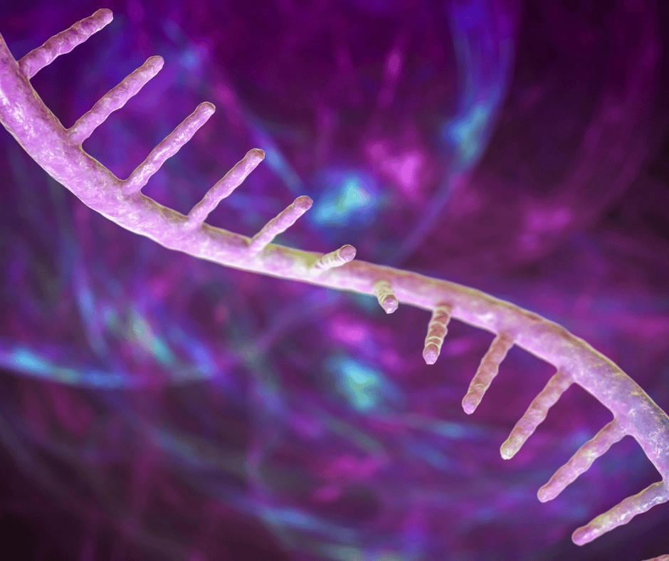Wiedzą, jak związać koniec z końcem. Polski sposób na koliste RNA
