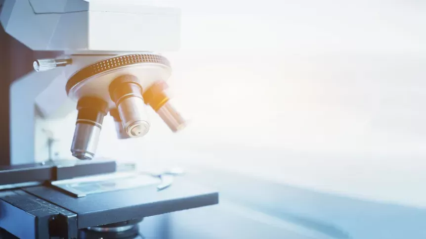 Biochemik: ingerencja w funkcjonowanie komórek macierzystych może wpływać na starzenie