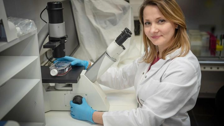 Wrocław - Badania biochemiczki z UPWr nadzieją na przełom w leczeniu raka otrzewnej